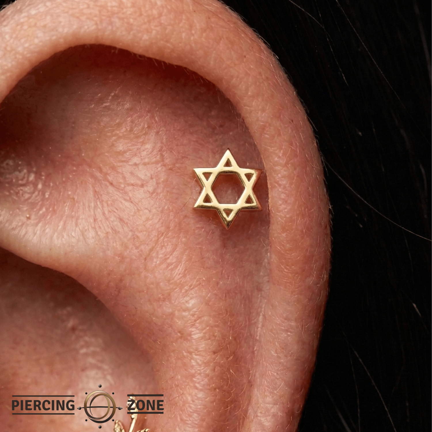 Star of David Pin - 14K Gold Star Threadless End - piercing - zone.com