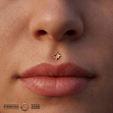 Star Trim – 14K Gold Threadless/Threaded End - piercing - zone.com