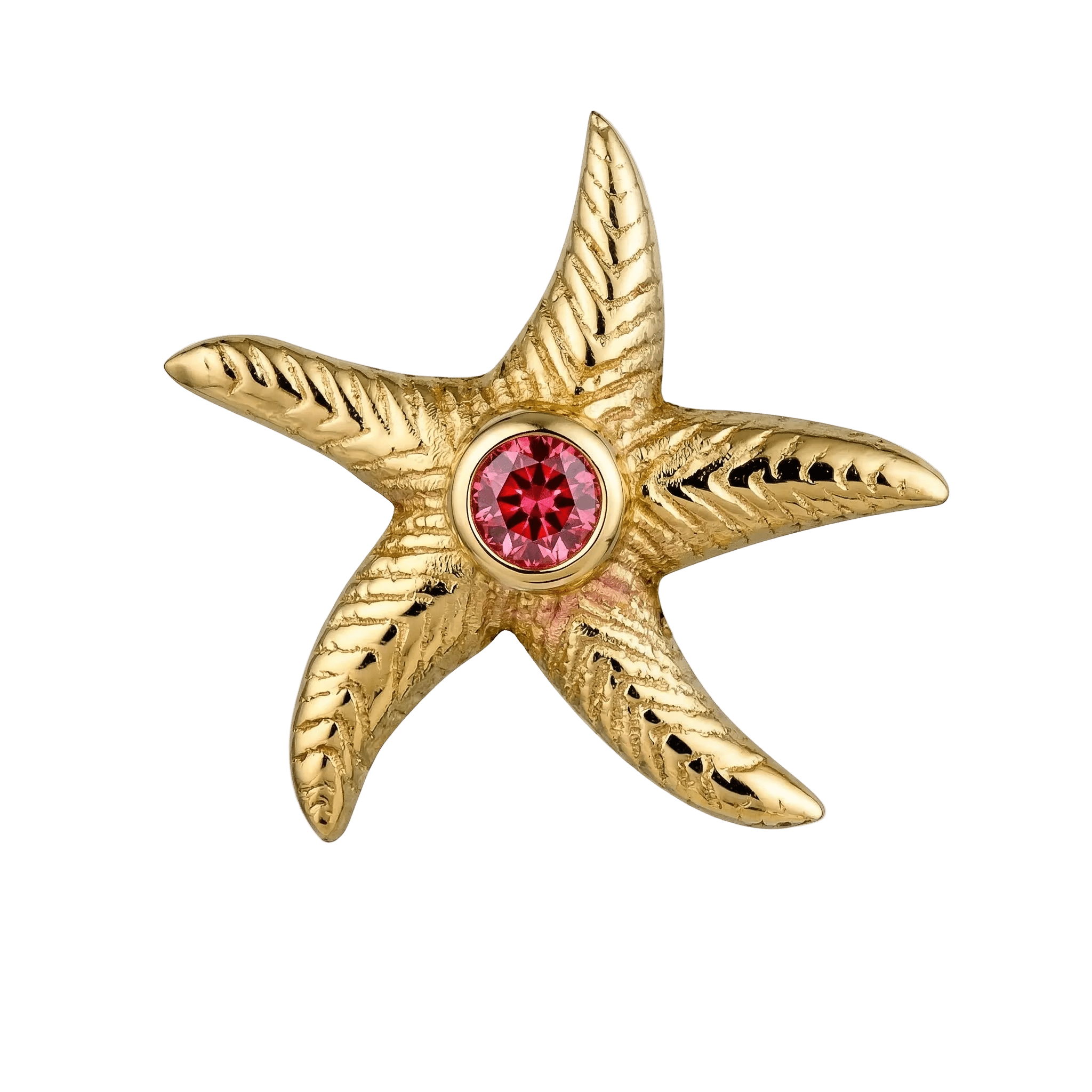 Starfish – 14K Gold Threadless/Threaded End - piercing - zone.com
