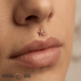 Starfish – 14K Gold Threadless/Threaded End - piercing - zone.com