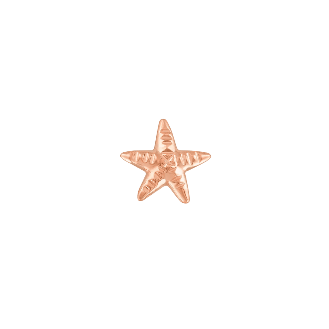 Starfish – 14K Gold Threadless/Threaded End - piercing - zone.com