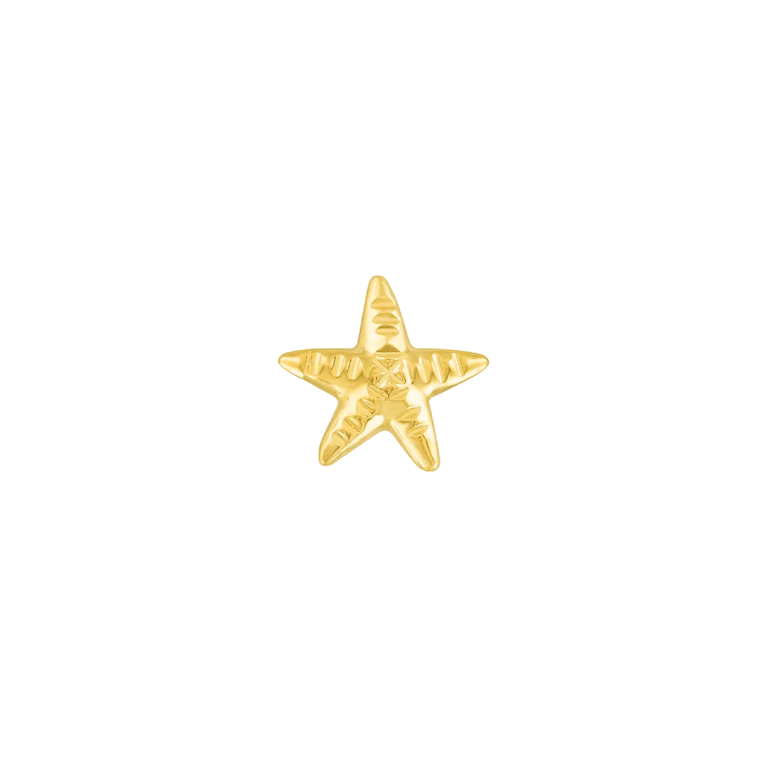 Starfish – 14K Gold Threadless/Threaded End - piercing - zone.com