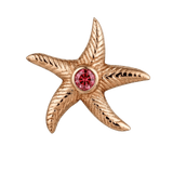 Starfish – 14K Gold Threadless/Threaded End - piercing - zone.com