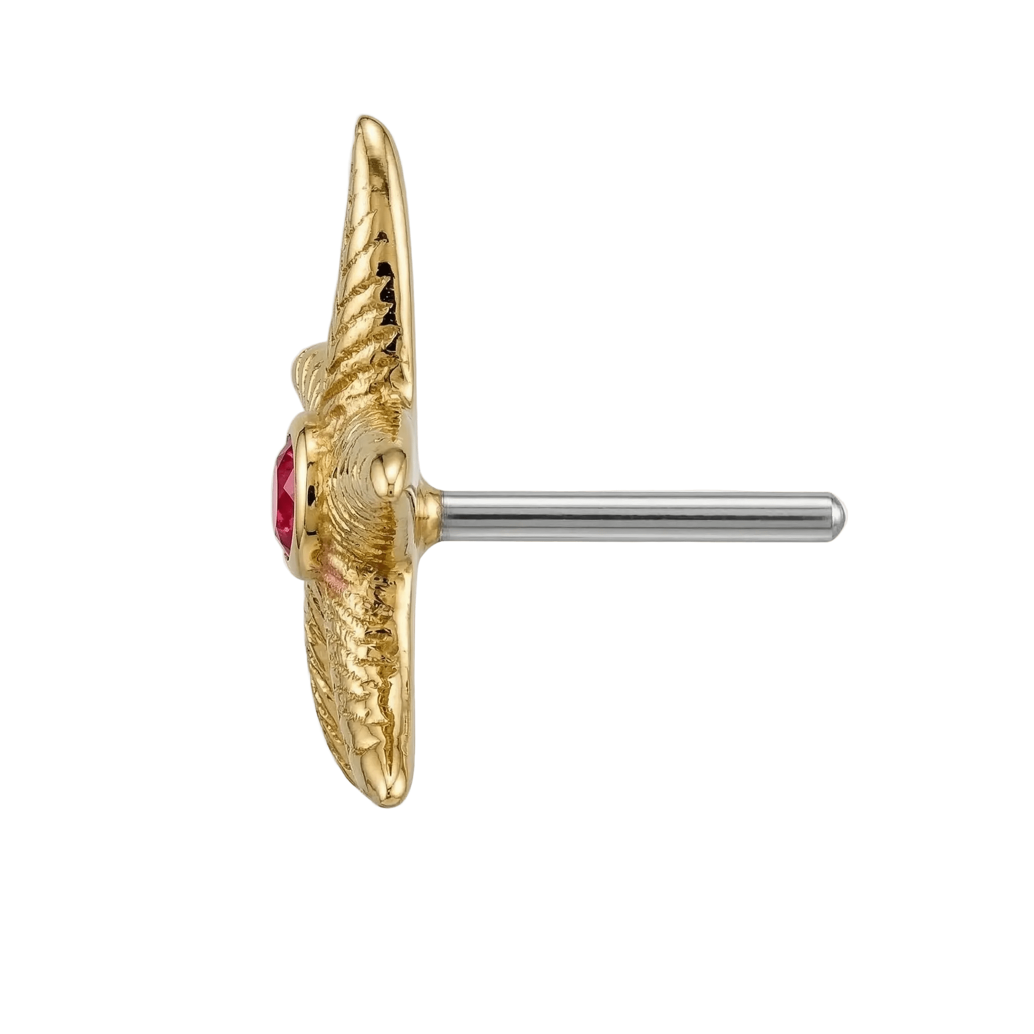 Starfish – 14K Gold Threadless/Threaded End - piercing - zone.com