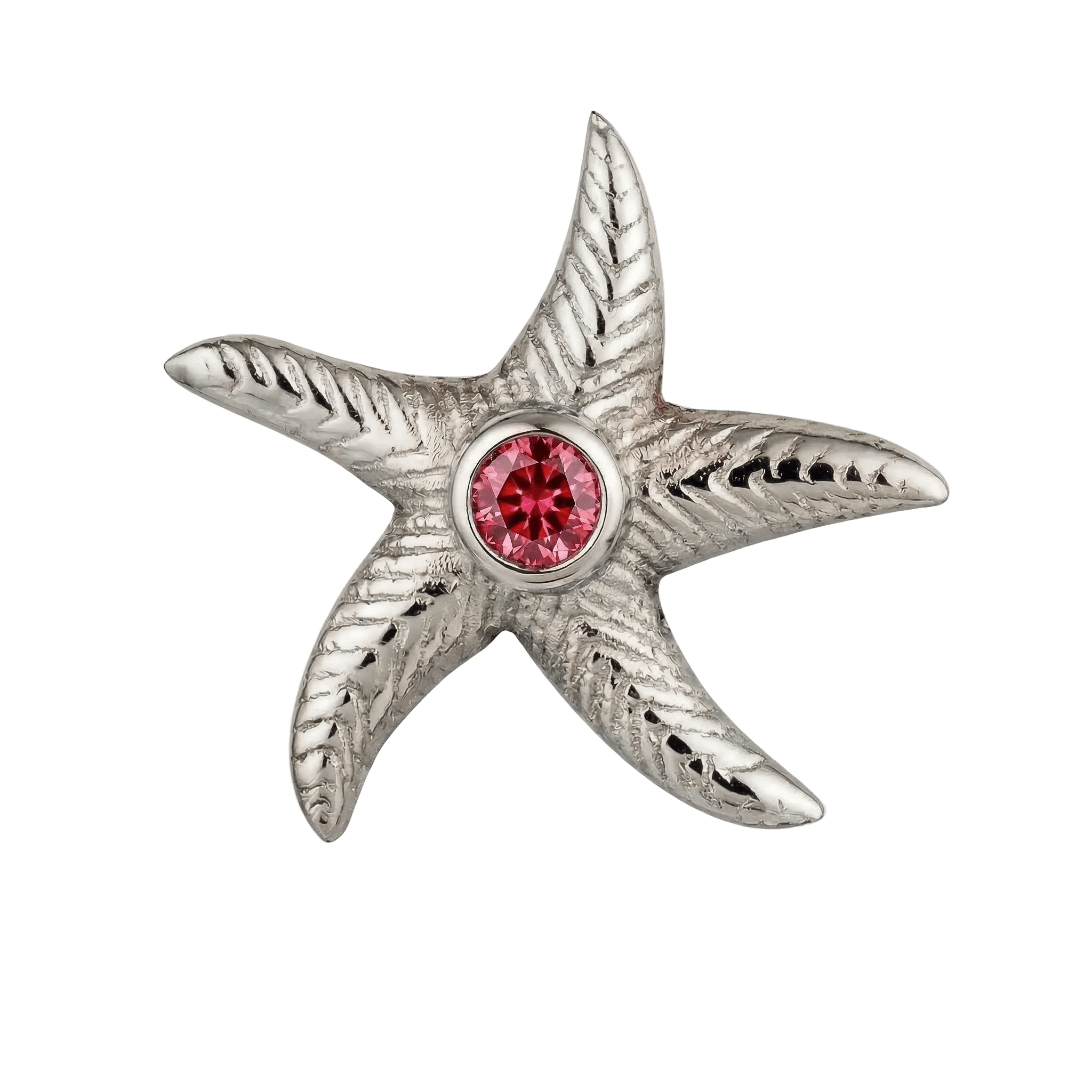 Starfish – 14K Gold Threadless/Threaded End - piercing - zone.com