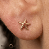 Starfish – 14K Gold Threadless/Threaded End - piercing - zone.com