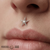 Starfish Glow – Ocean - Inspired – 14K Gold Threadless End - piercing - zone.com