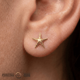 Starfish Glow – Ocean - Inspired – 14K Gold Threadless End - piercing - zone.com