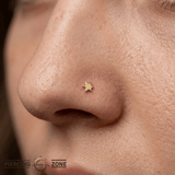 Starlet Pin - 14K Gold Star Threadless End - piercing - zone.com