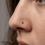 Starlet Pin - 14K Gold Star Threadless End - piercing - zone.com