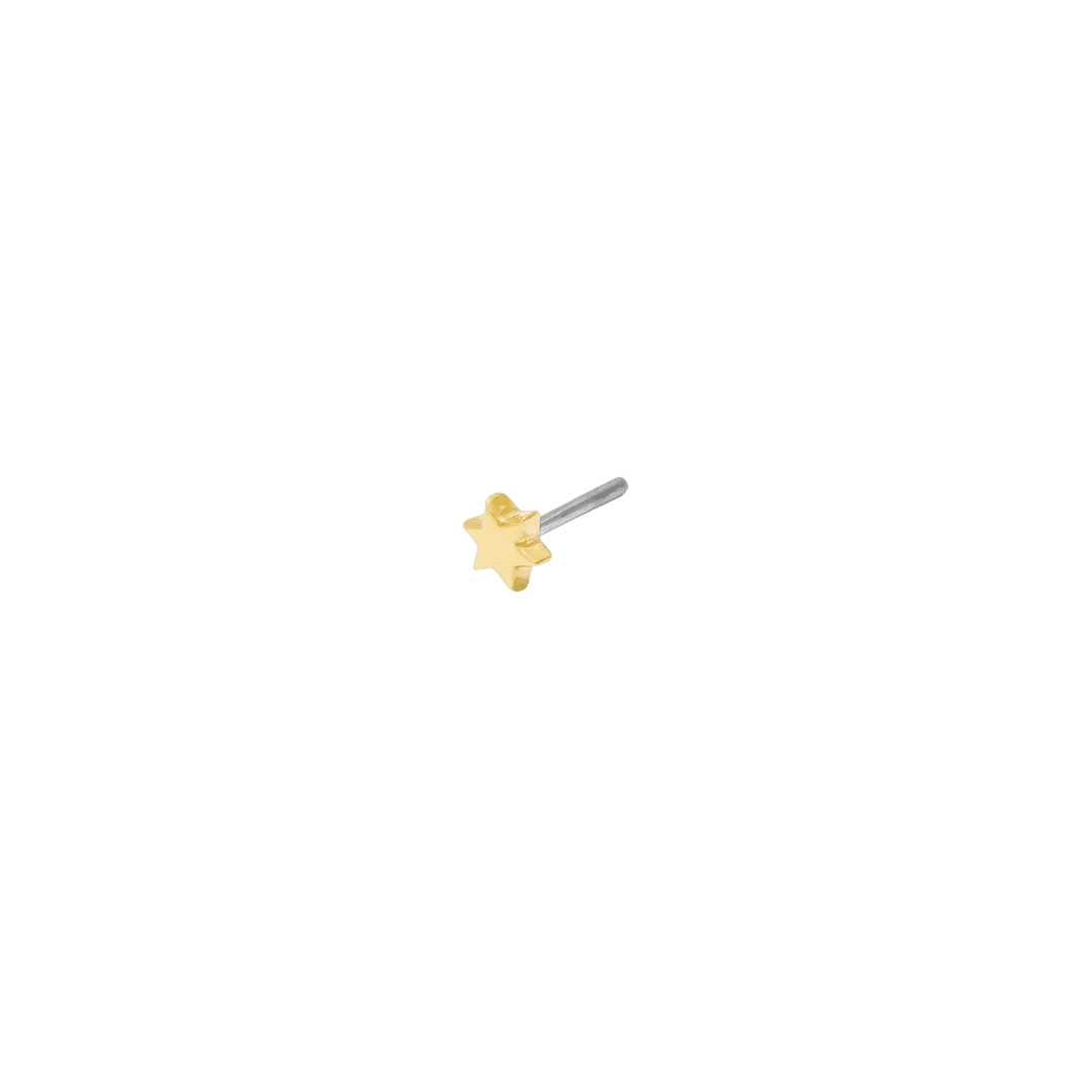 Starlet Pin - 14K Gold Star Threadless End - piercing - zone.com