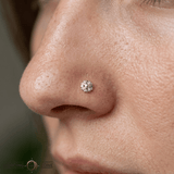 Starlight – 14K Gold Threadless/Threaded End - piercing - zone.com