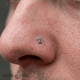 Starstruck – Black Rhodium Star – 14K Gold Threadless End - piercing - zone.com
