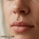 Stellar Dendrite - 18K Gold Threadless/Threaded End - piercing-zone.com