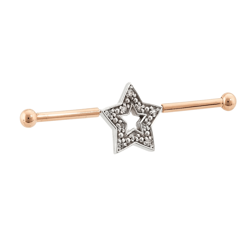 Stellar Frame - 14K Gold Star Straight Barbell - piercing - zone.com