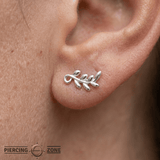 Tendril – 14K Gold Curved Botanical Threadless Pin - piercing - zone.com