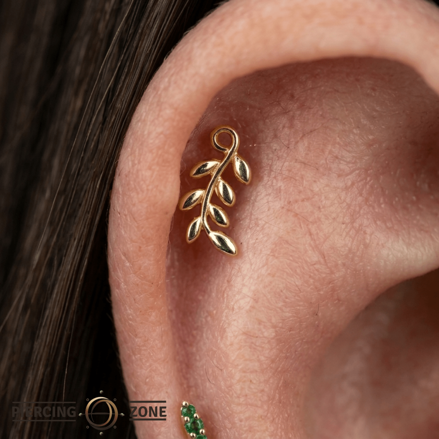 Tendril – 14K Gold Curved Botanical Threadless Pin - piercing - zone.com