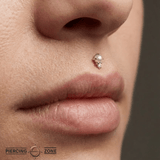 The Light – Pearl & CZ Duo – 14K Gold Threadless End - piercing - zone.com