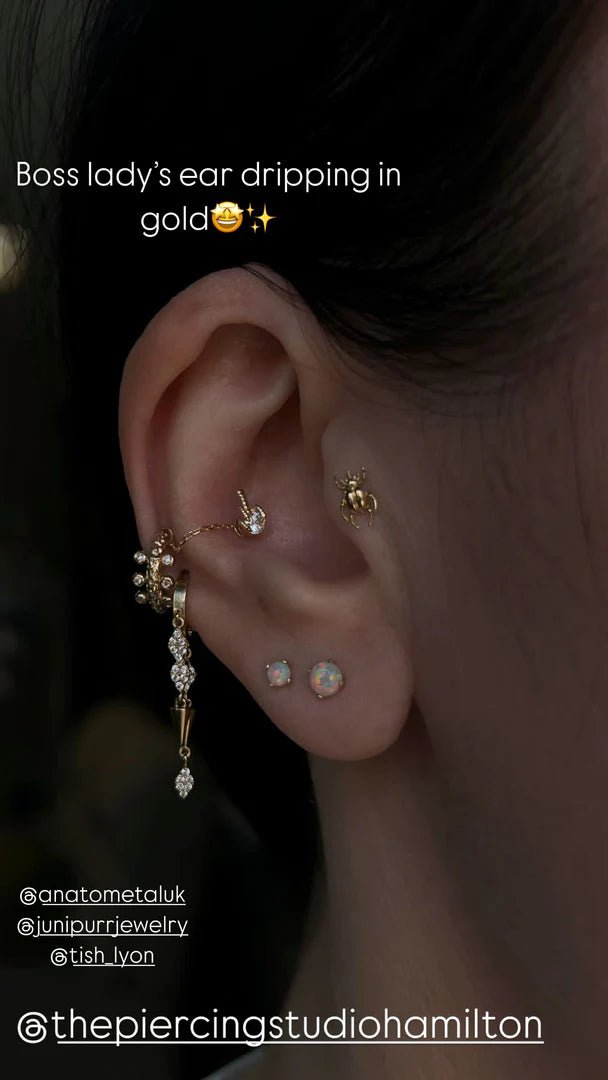 Tiamat – CZ Dragon Claw – 14K Gold Threadless End - piercing - zone.com