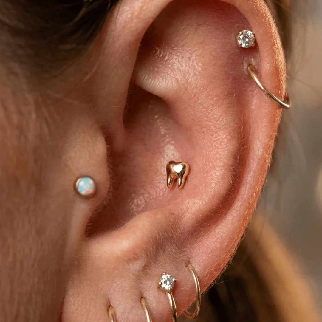 Tooth – 14K Gold Threadless & Threaded End - piercing - zone.com