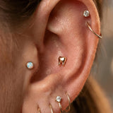 Tooth – 14K Gold Threadless & Threaded End - piercing - zone.com