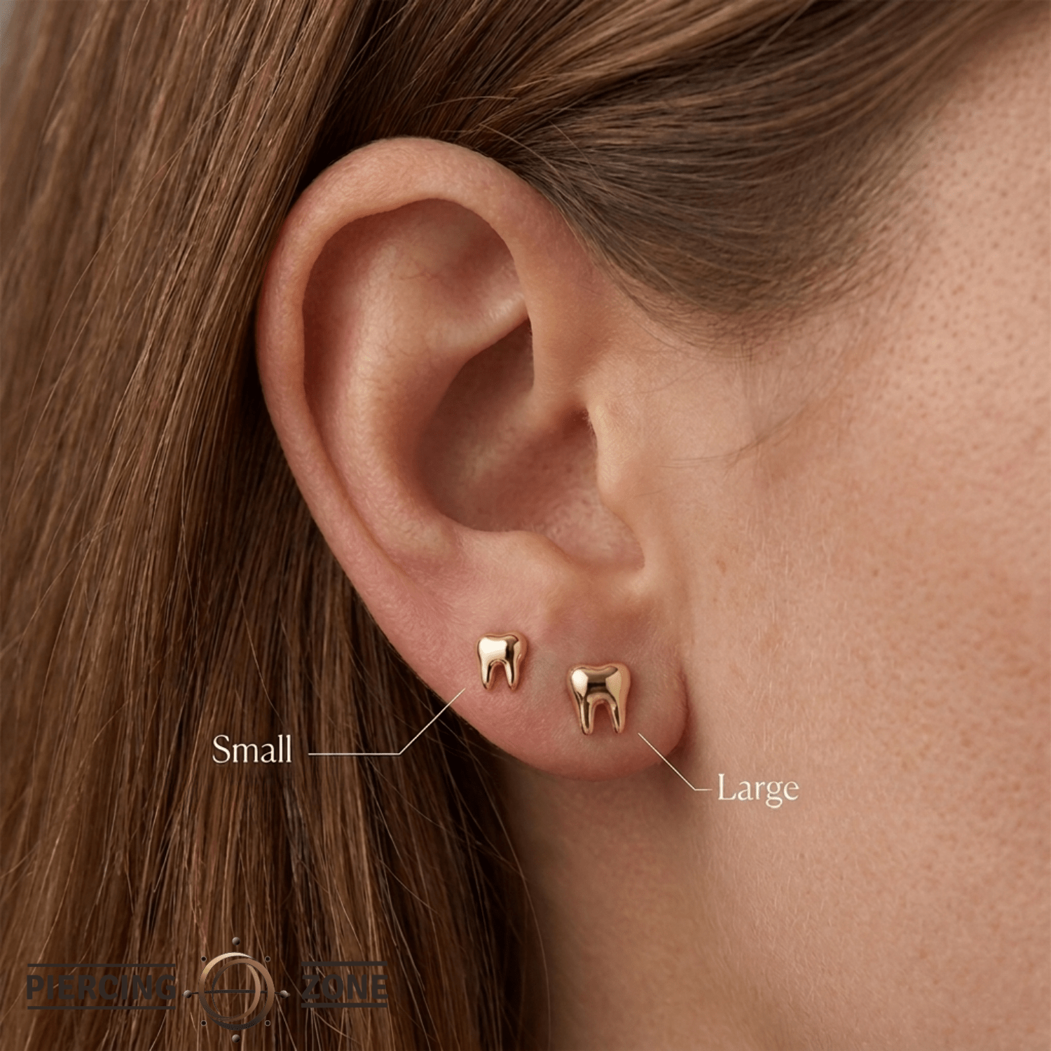 Tooth – 14K Gold Threadless/Threaded End - piercing - zone.com