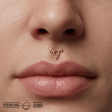 Transgender Symbol - 14K Gold Threadless/Threaded End - piercing - zone.com
