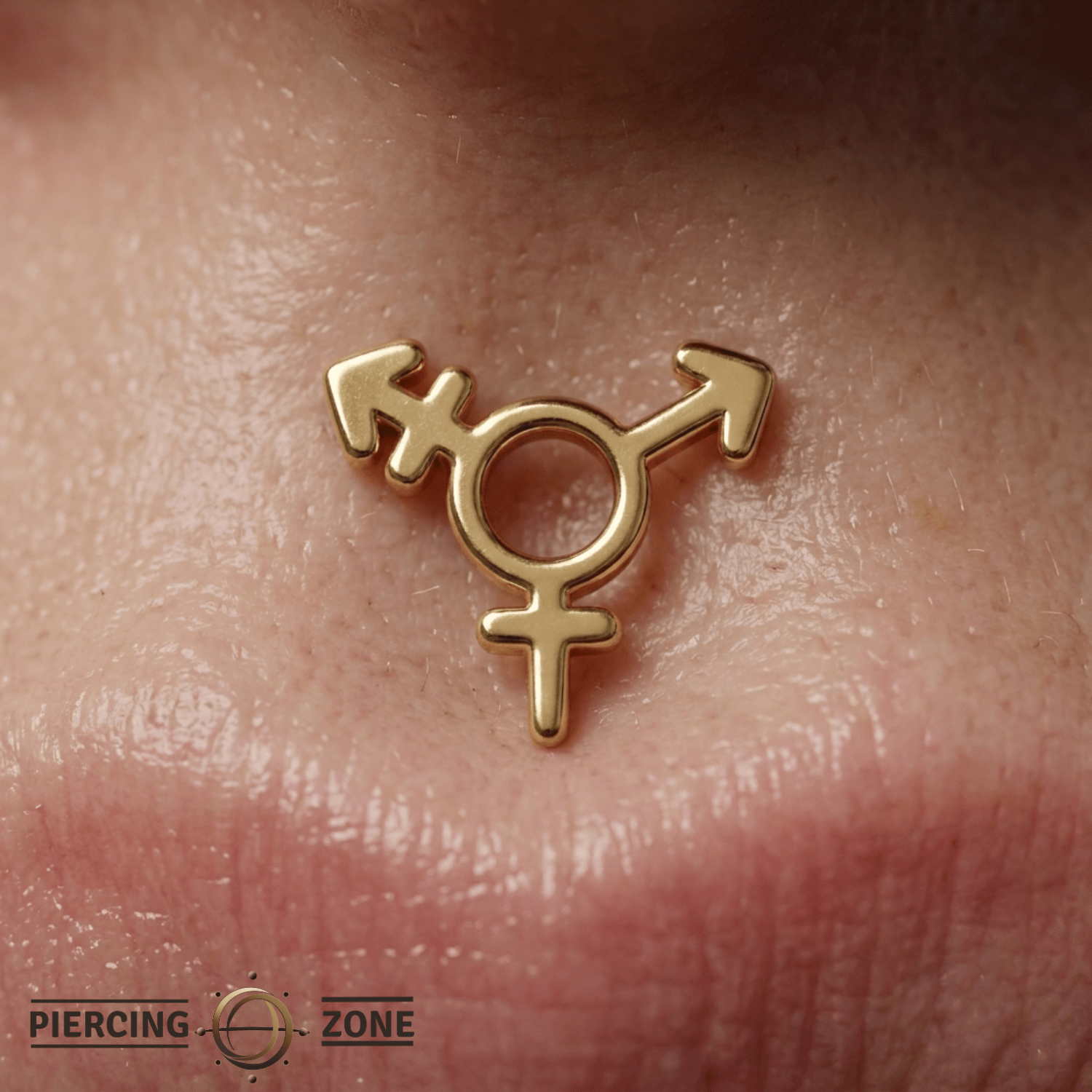 Transgender Symbol - 14K Gold Threadless/Threaded End - piercing - zone.com
