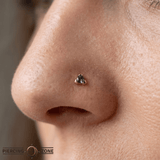 Triangle Prong – 14K Gold Threadless/Threaded End - piercing - zone.com