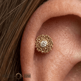 Trypo - 14K Gold Threadless/Threaded - piercing - zone.com