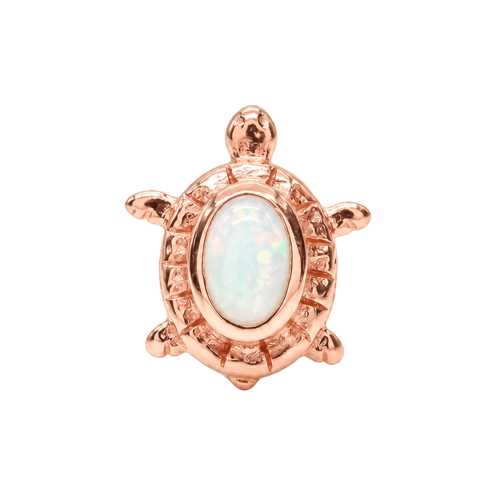 Turtle – 14K Gold Threadless/Threaded End - piercing-zone.com