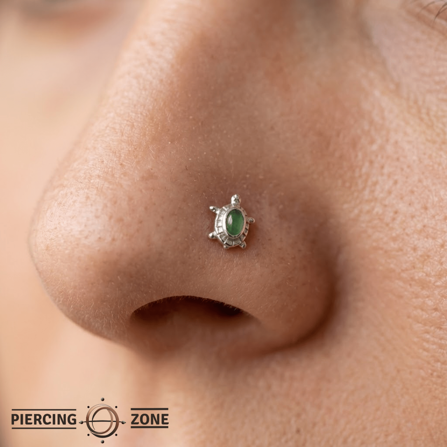 Turtle – 14K Gold Threadless/Threaded End - piercing - zone.com