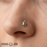 Turtle – 14K Gold Threadless/Threaded End - piercing - zone.com