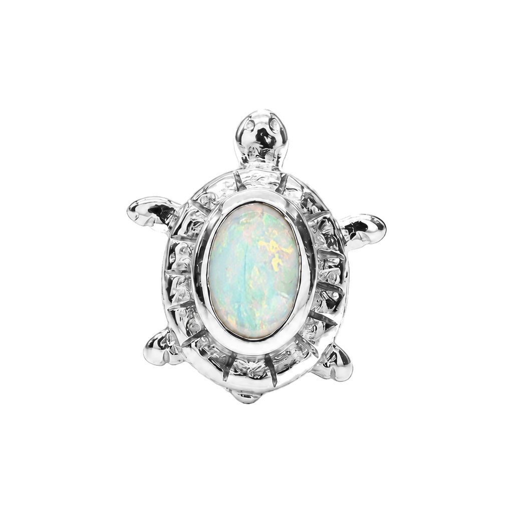 Turtle – 14K Gold Threadless/Threaded End - piercing-zone.com