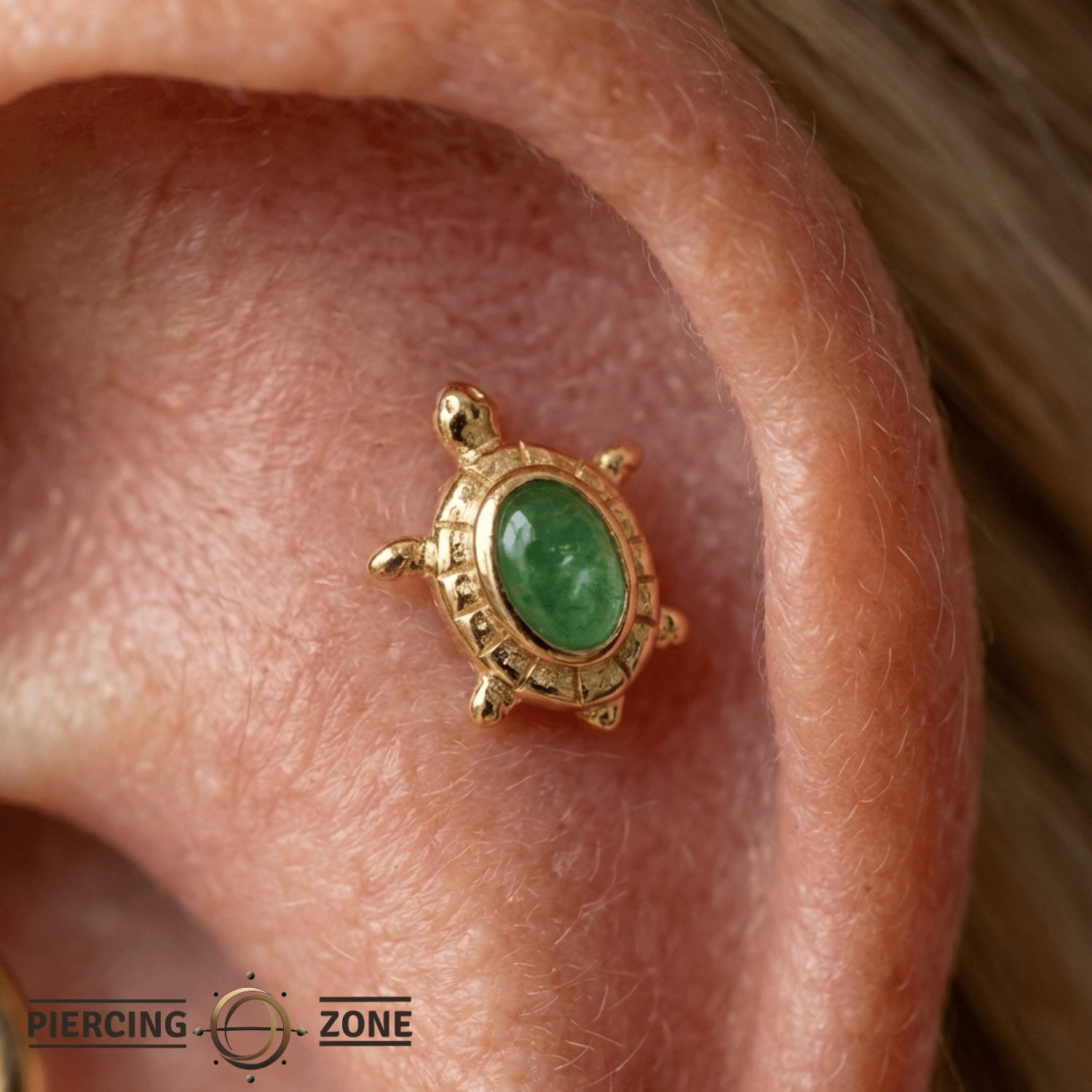 Turtle – 14K Gold Threadless/Threaded End - piercing - zone.com