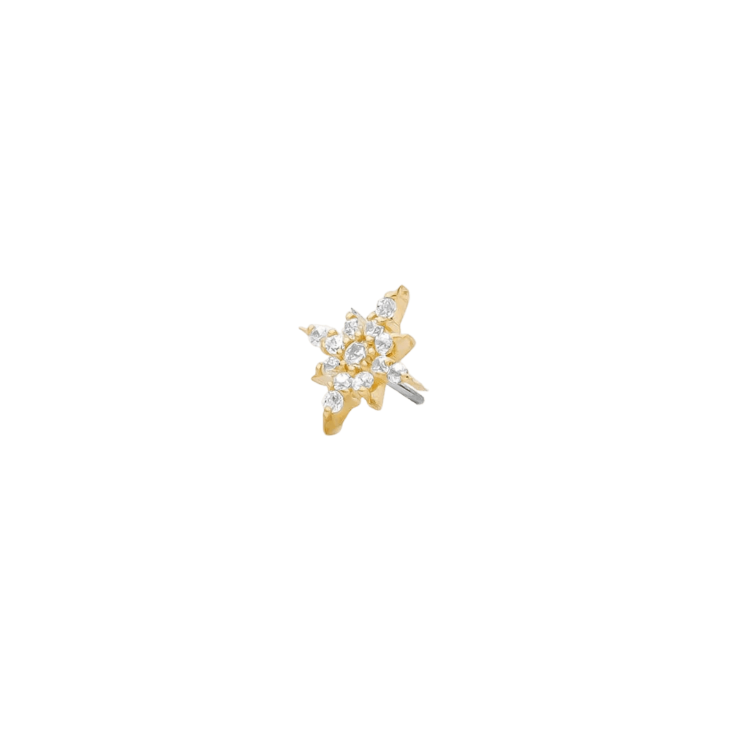 Ultra Lustre Pin Pave - 14K Gold Gem Threadless End - piercing - zone.com