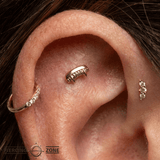 Vampire Fangs - 18K Gold Threadless/Threaded End - piercing-zone.com