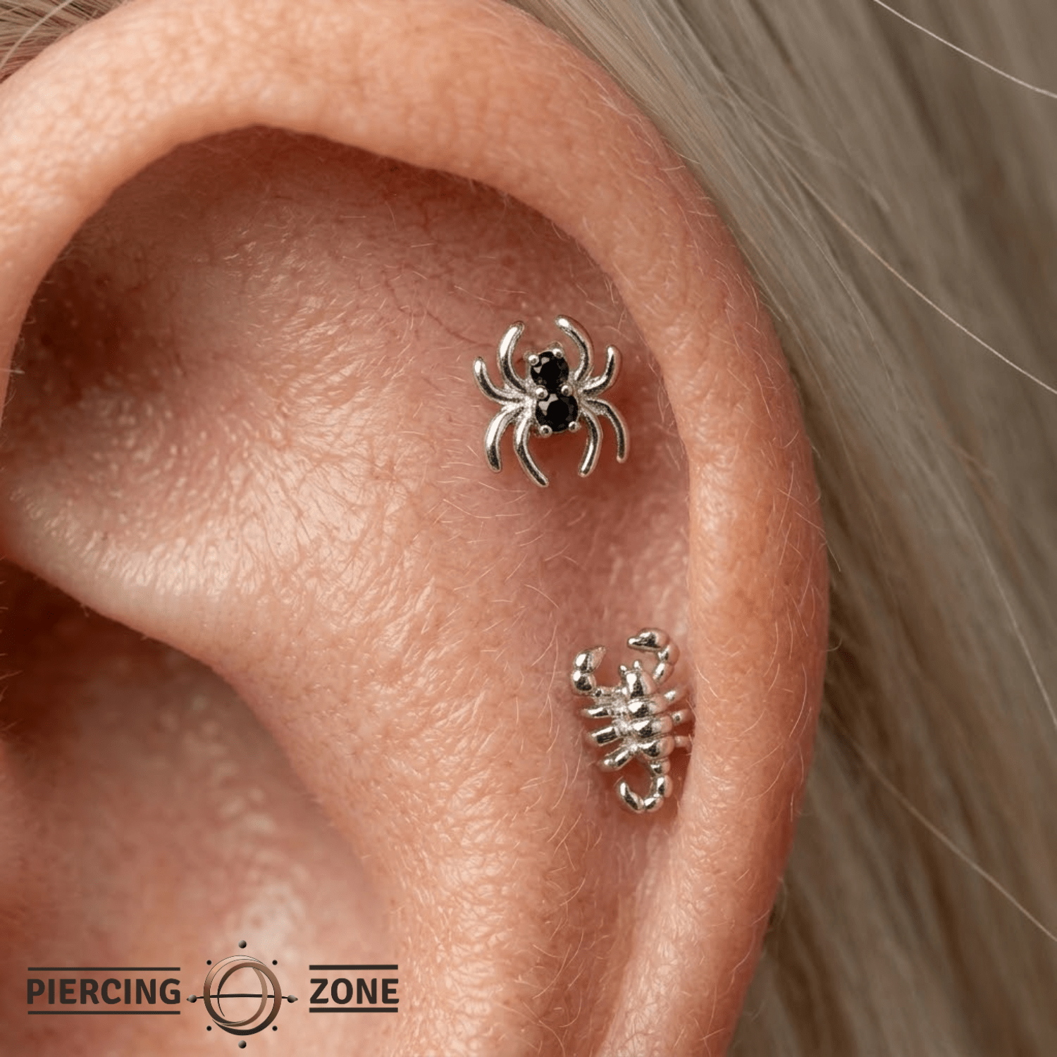 Venomous Spider – 14K Gold Threadless/Threaded End - piercing - zone.com