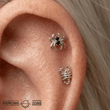 Venomous Spider – 14K Gold Threadless/Threaded End - piercing - zone.com