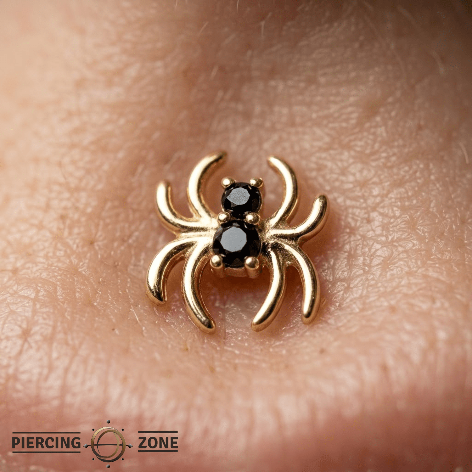Venomous Spider – 14K Gold Threadless/Threaded End - piercing - zone.com