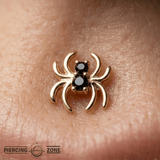 Venomous Spider – 14K Gold Threadless/Threaded End - piercing - zone.com