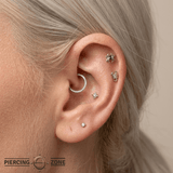 Venomous Spider – 14K Gold Threadless/Threaded End - piercing - zone.com