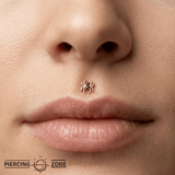 Venomous Spider – 14K Gold Threadless/Threaded End - piercing - zone.com