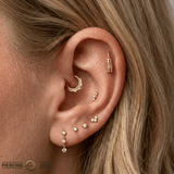 Vino Bottle – 14K Gold Threadless/Threaded End - piercing - zone.com