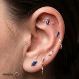 Vinyl – Lapis Lazuli – 14K Gold Threadless End - piercing - zone.com