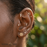 Visionary – CZ Cluster – 14K Gold Threadless End - piercing - zone.com