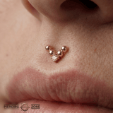 Voodoo – CZ Shield – 14K Gold Threadless End - piercing - zone.com