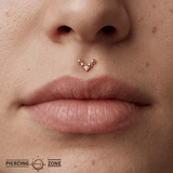 Voodoo – CZ Shield – 14K Gold Threadless End - piercing - zone.com