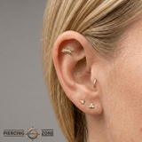 When Pigs Fly – 14K Gold Threadless/Threaded End - piercing - zone.com