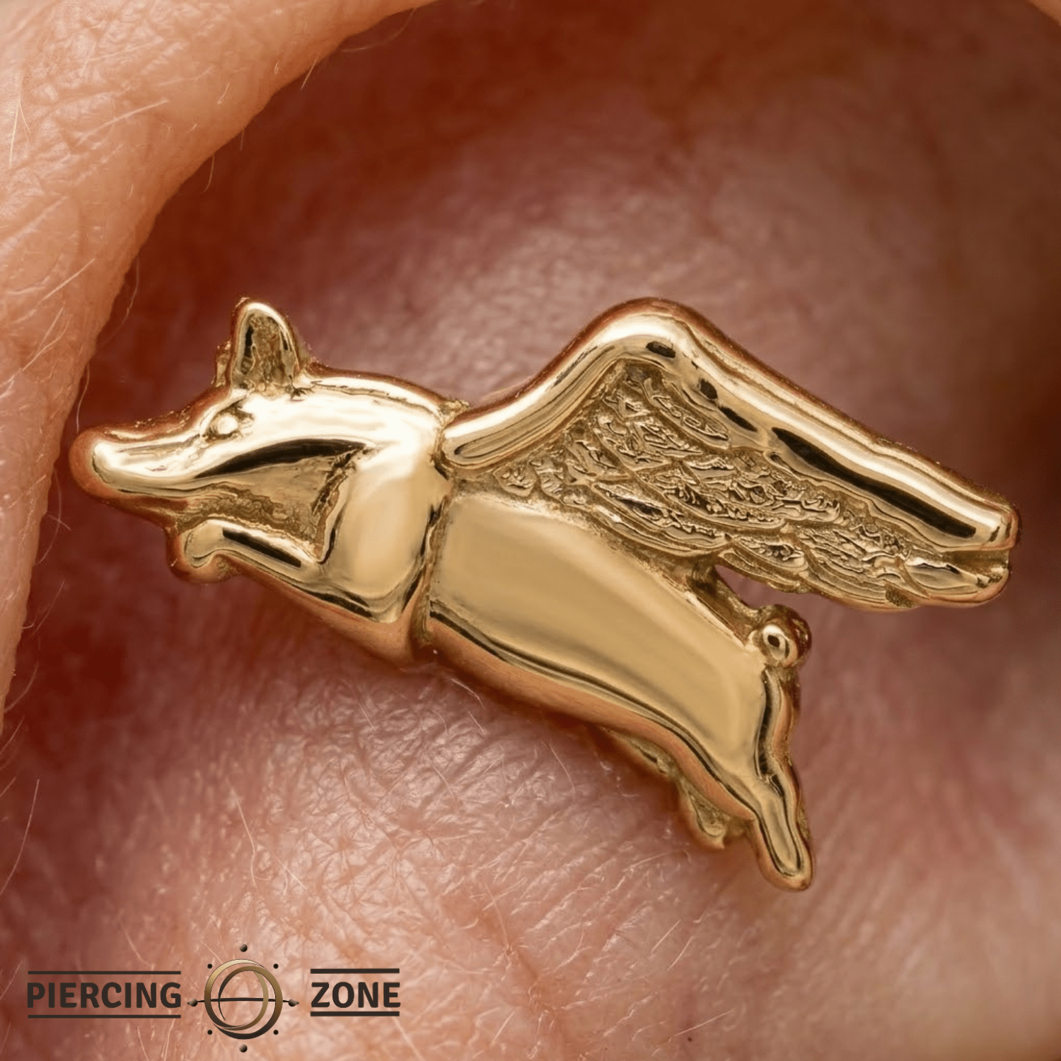 When Pigs Fly – 14K Gold Threadless/Threaded End - piercing - zone.com